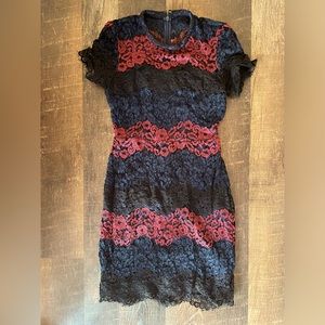 Express lace bodycon dress